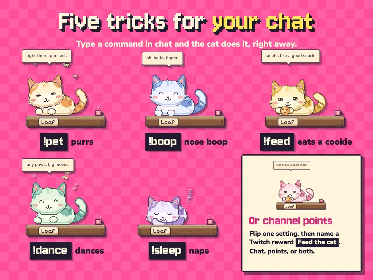 Five chat tricks: pet, boop, feed, dance and sleep